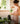 From Fresh to Dried: The Art of Preserving Nutrients Naturally