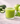 Gentle Green Starter Juice