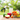Everyday Wellness: Small Changes That Make a Big Difference