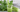From Fresh to Dried: The Art of Preserving Nutrients Naturally 2