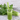 From Fresh to Dried: The Art of Preserving Nutrients Naturally 2