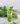 From Fresh to Dried: The Art of Preserving Nutrients Naturally 2
