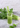 From Fresh to Dried: The Art of Preserving Nutrients Naturally 2